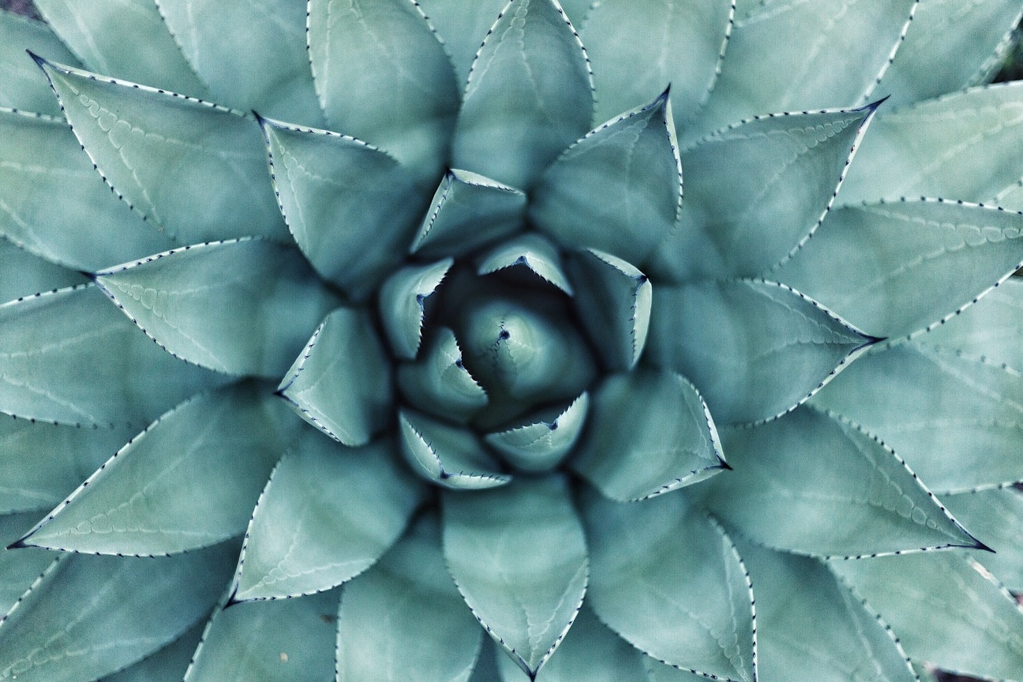 Reversing Health Damage: A Holistic Approach